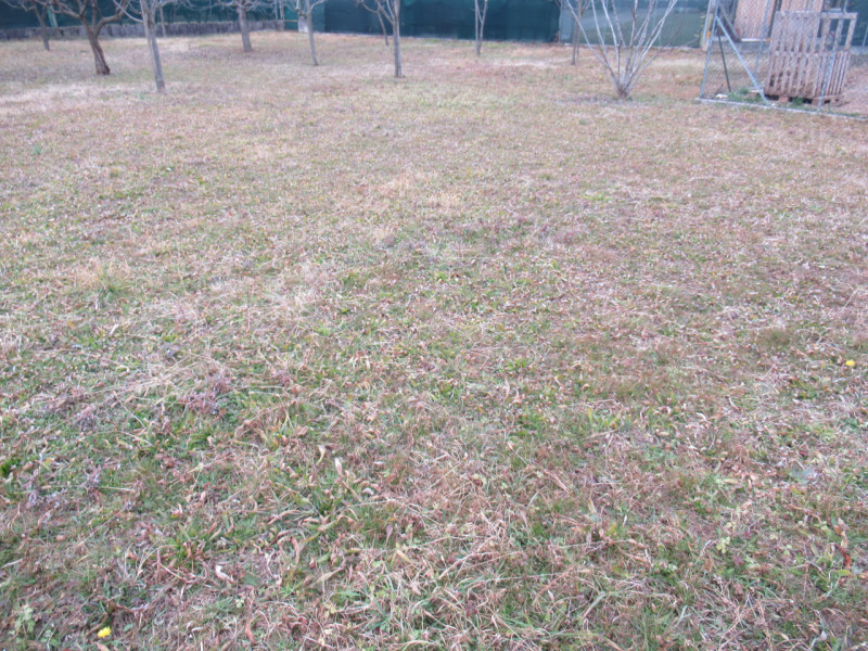 Per informazioni: 335/8345159. A Ciano del Montello, frazione di Crocetta del Montello (TV), prop...