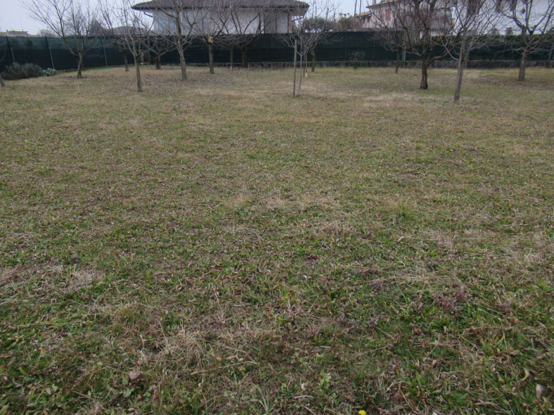 Per informazioni: 335/8345159. A Ciano del Montello, frazione di Crocetta del Montello (TV), prop...