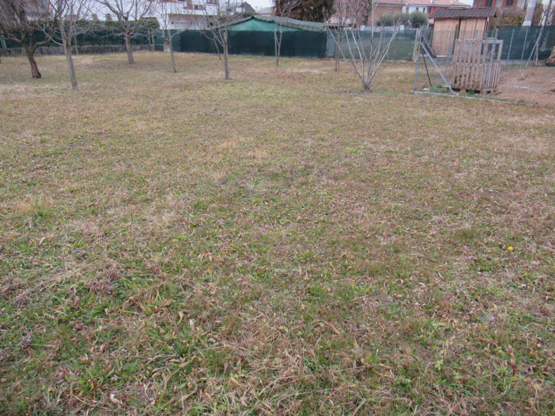 Per informazioni: 335/8345159. A Ciano del Montello, frazione di Crocetta del Montello (TV), prop...