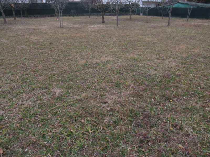 Per informazioni: 335/8345159. A Ciano del Montello, frazione di Crocetta del Montello (TV), prop...