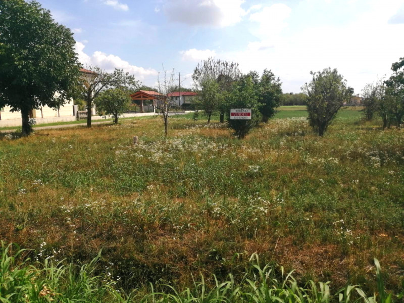 Terreno agricolo di 2500 mq. --- annuncio pubblicato con GESTIONALEIMMOBILIARE.it