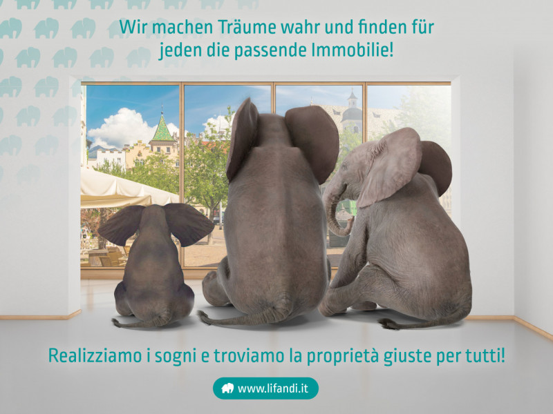 Immagine 4