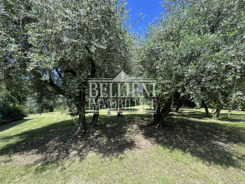 CREAZZO: in posizione panoramica, semi collinare, VILLA singola di mq 450 coperti, con ampio giar...