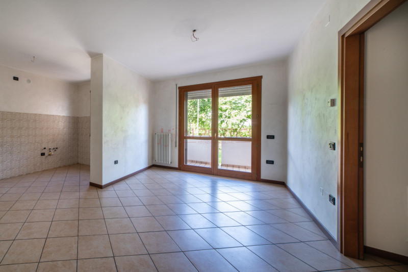 Piove di Sacco Vendita Appartamento