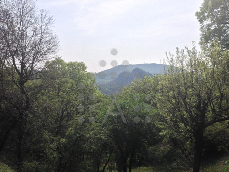 Appartamento monolocale in locazione TRANSITORIA SECONDA CASA