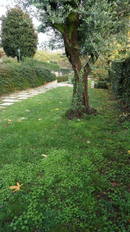 Marostica: Affittasi splendida casa singola nei pressi del centro storico

L'abitazione, caratter...