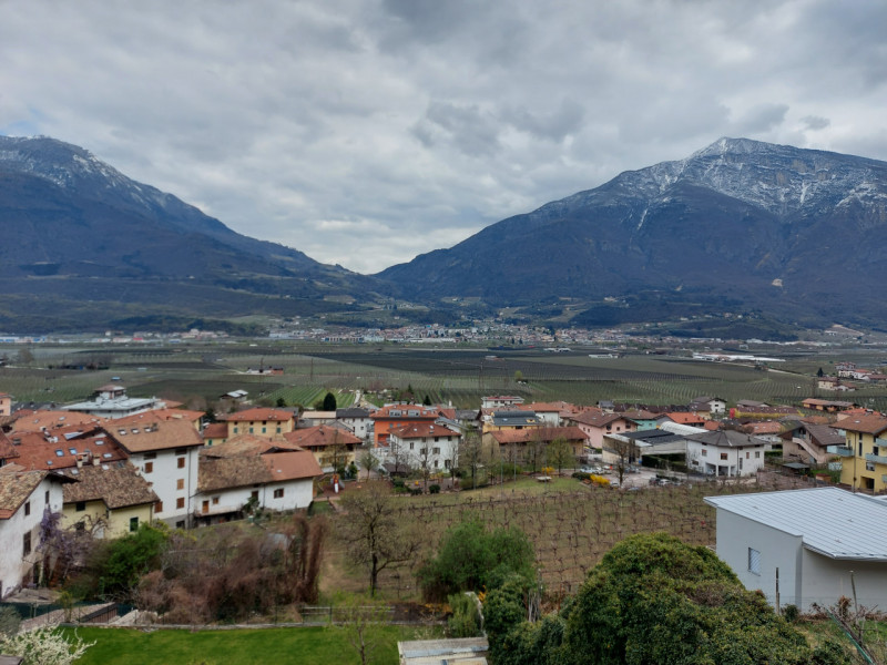 AFFITTI Appartamento a Trento – foto 1