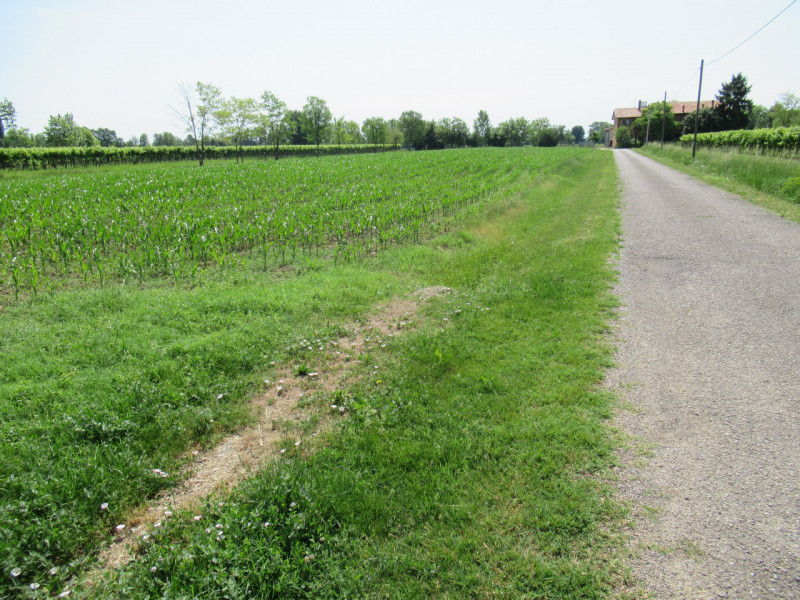 Per informazioni: 335/8345159. A Pezzan di Carbonera (TV), proponiamo in vendita terreno agricolo...