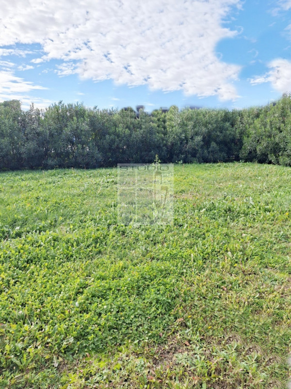 LOREGGIA CENTRO

Tutto quello che cerchi in una casa te lo offriamo noi: INDIPENDENZA, SPAZI ABIT...