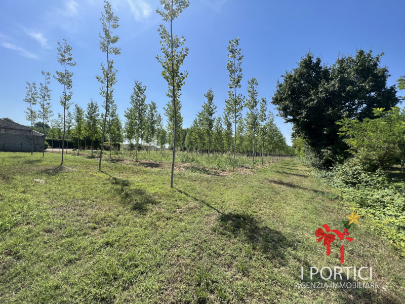 Zeminiana- 

Vendesi rustico immerso nella campagna con annesso terreno di 4.000 mq 

Possibilità...