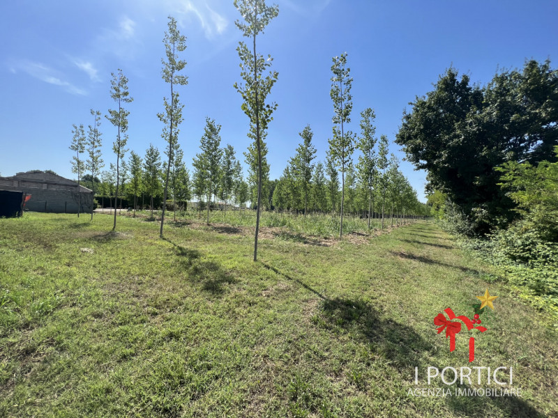 Zeminiana- 

Vendesi rustico immerso nella campagna con annesso terreno di 4.000 mq 

Possibilità...