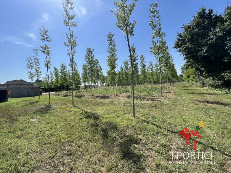 Zeminiana- 

Vendesi rustico immerso nella campagna con annesso terreno di 4.000 mq 

Possibilità...