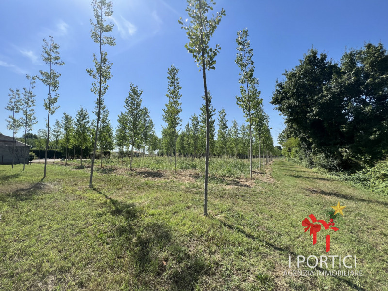 Zeminiana- 

Vendesi rustico immerso nella campagna con annesso terreno di 4.000 mq 

Possibilità...