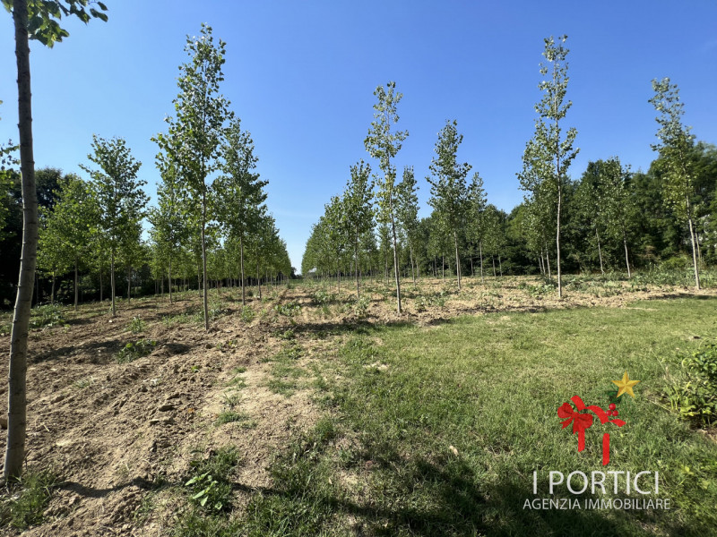 Zeminiana- 

Vendesi rustico immerso nella campagna con annesso terreno di 4.000 mq 

Possibilità...