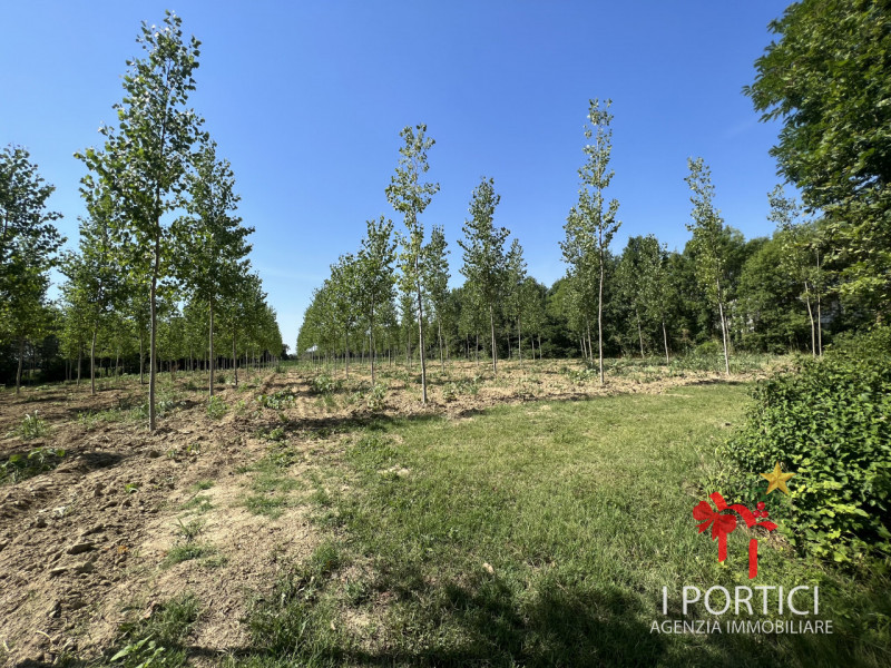 Zeminiana- 

Vendesi rustico immerso nella campagna con annesso terreno di 4.000 mq 

Possibilità...