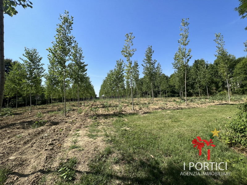 Zeminiana- 

Vendesi rustico immerso nella campagna con annesso terreno di 4.000 mq 

Possibilità...