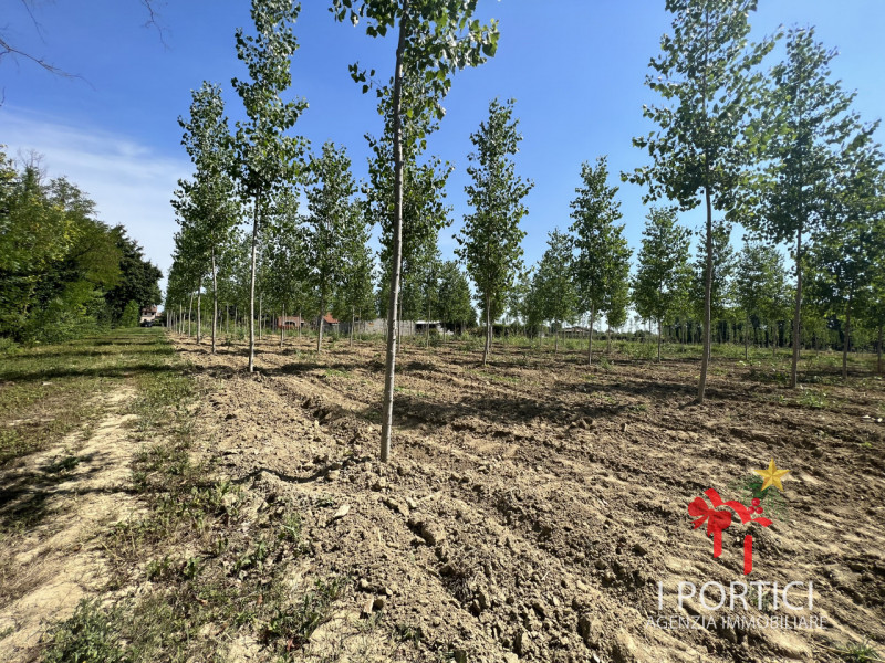 Zeminiana- 

Vendesi rustico immerso nella campagna con annesso terreno di 4.000 mq 

Possibilità...