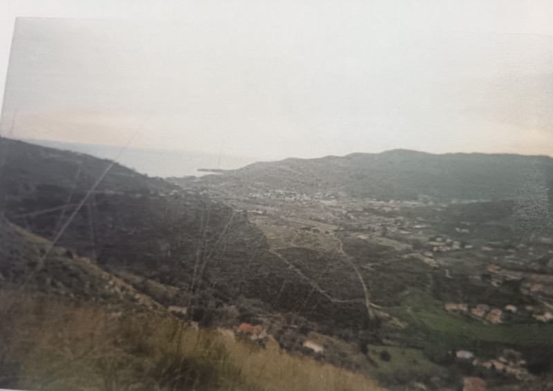 Montecorice Vendita Terreno terreno agricolo/coltura