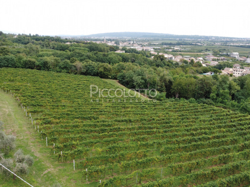 Rif. V4784 - Maser, in posizione collinare e panoramica a soli 5 minuti da Asolo e dalla celebre ...
