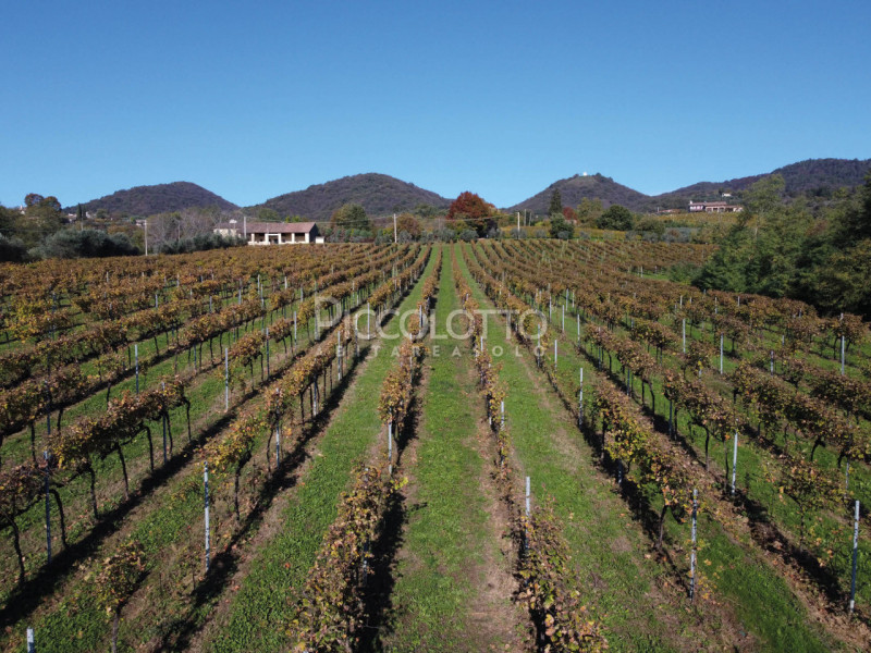 Rif. V4784 - Maser, in posizione collinare e panoramica a soli 5 minuti da Asolo e dalla celebre ...