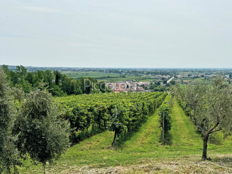 Rif. V4784 - Maser, in posizione collinare e panoramica a soli 5 minuti da Asolo e dalla celebre ...