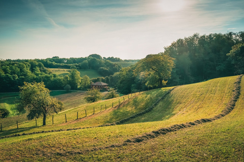 Per informazioni: 335/8345159. A Giavera del Montello in località Santi Angeli (TV), proponiamo i...