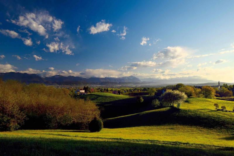 Per informazioni: 335/8345159. A Giavera del Montello in località Santi Angeli (TV), proponiamo i...