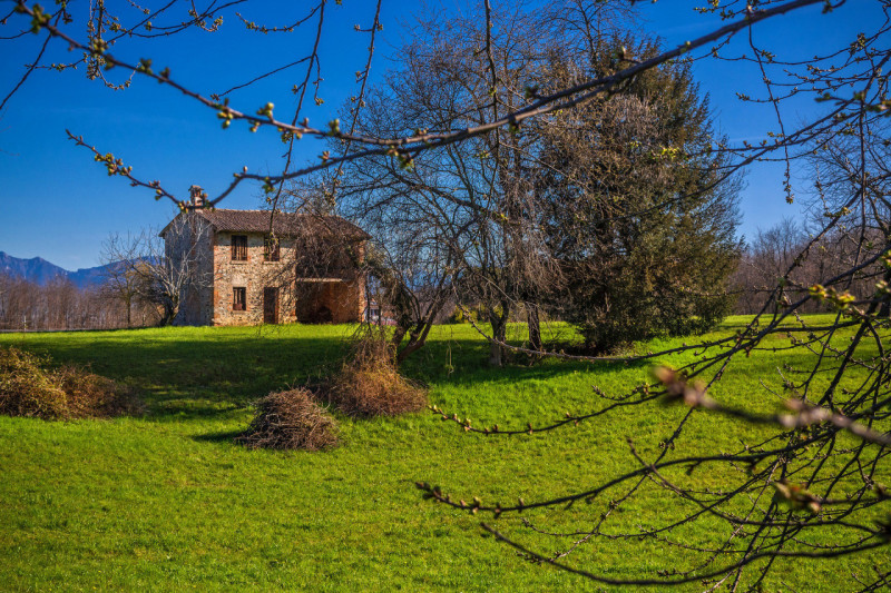 Per informazioni: 335/8345159. A Giavera del Montello in località Santi Angeli (TV), proponiamo i...