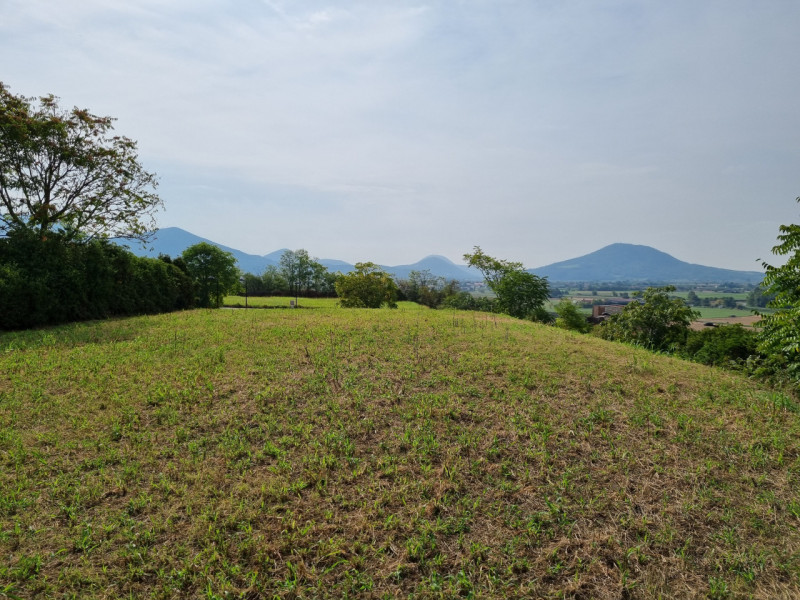 Lovertino di Albettone, situati in splendida posizione panoramica sul Colle, proponiamo in Vendit...