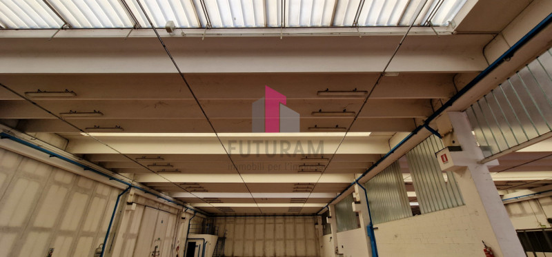 VENDESI CAPANNONE RIFERIMENTO - 223MAT.FUTURAM - Per info 392/9183796 - 0444/310220

Proponiamo i...