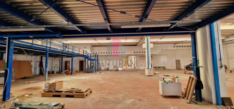 VENDESI CAPANNONE RIFERIMENTO - 223MAT.FUTURAM - Per info 392/9183796 - 0444/310220

Proponiamo i...