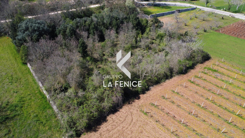 Locorotondo Vendita Rustico rustico di campagna