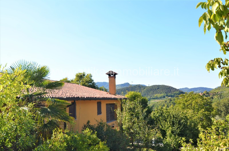 Vendesi a Montegrotto Terme in zona collinare, un interessante complesso abitativo e agricolo com...