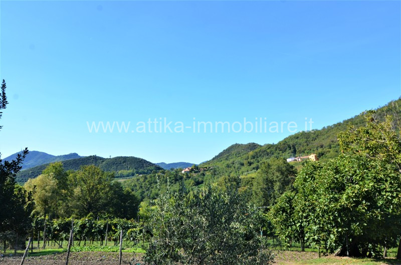 Vendesi a Montegrotto Terme in zona collinare, un interessante complesso abitativo e agricolo com...