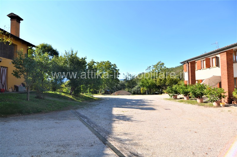 Vendesi a Montegrotto Terme in zona collinare, un interessante complesso abitativo e agricolo com...