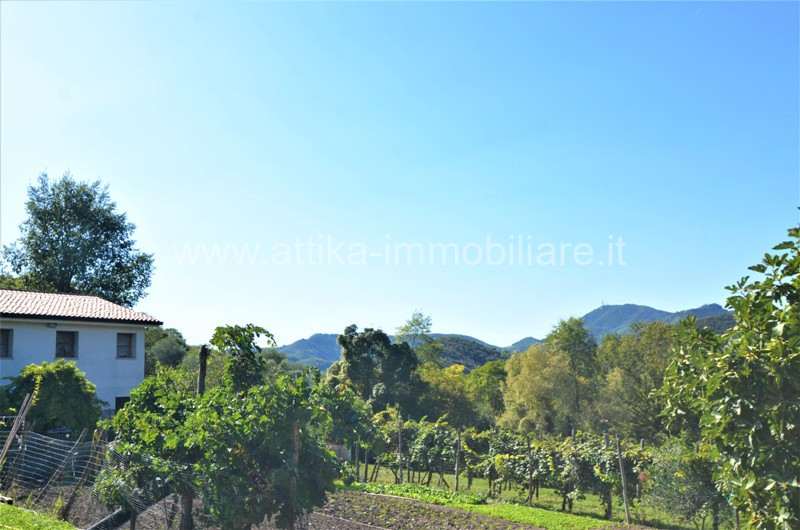 Vendesi a Montegrotto Terme in zona collinare, un interessante complesso abitativo e agricolo com...