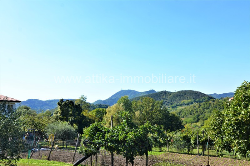 Vendesi a Montegrotto Terme in zona collinare, un interessante complesso abitativo e agricolo com...