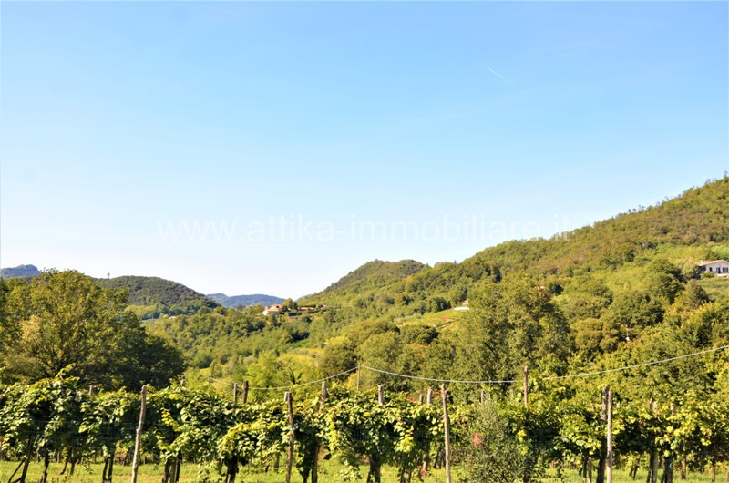 Vendesi a Montegrotto Terme in zona collinare, un interessante complesso abitativo e agricolo com...