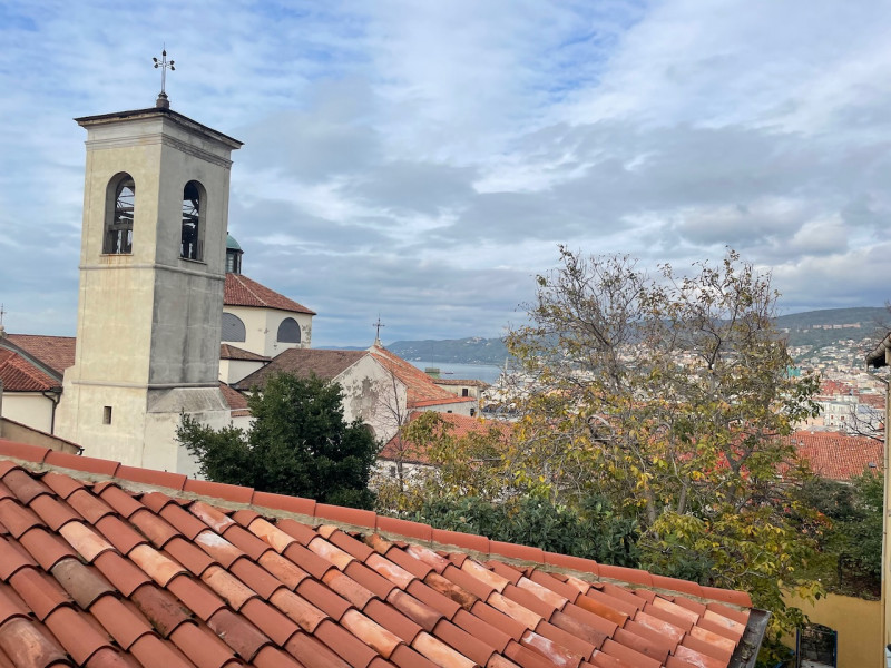 Trieste Affitto Appartamento bilocale