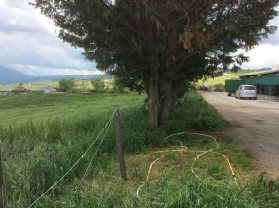 Agriturismi e aziende agricole in Vendita a Bella