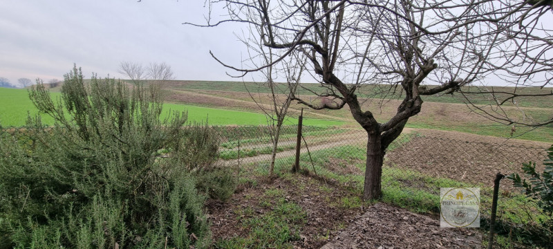 Rif. SE36 - Proponiamo tipico casale singolo di campagna immerso nel verde e allo stesso tempo a ...