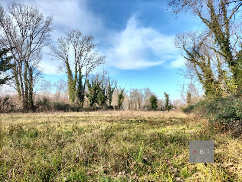 Situato nella frazione di Torreselle, terreno agricolo di circa 60.000 mq. con accesso indipenden...