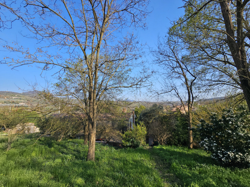Proponiamo in vendita a Baone, nella frazione di Valle San Giorgio, rustico immerso nella natura ...
