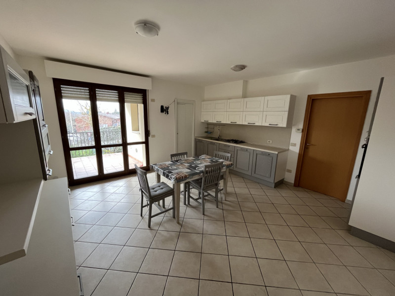 Ancona Affitto Appartamento