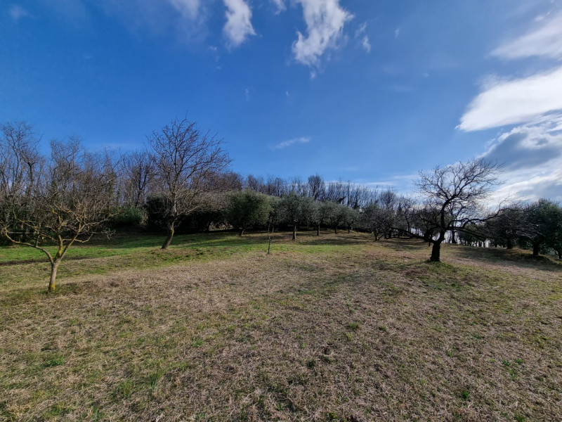 Siamo in Comune di Baone, più precisamente in prossimità dell'abitato di Calaone, Proponiamo in V...