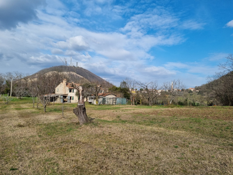 Siamo in Comune di Baone, più precisamente in prossimità dell'abitato di Calaone, Proponiamo in V...