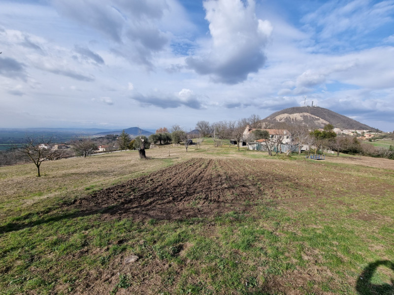 Siamo in Comune di Baone, più precisamente in prossimità dell'abitato di Calaone, Proponiamo in V...