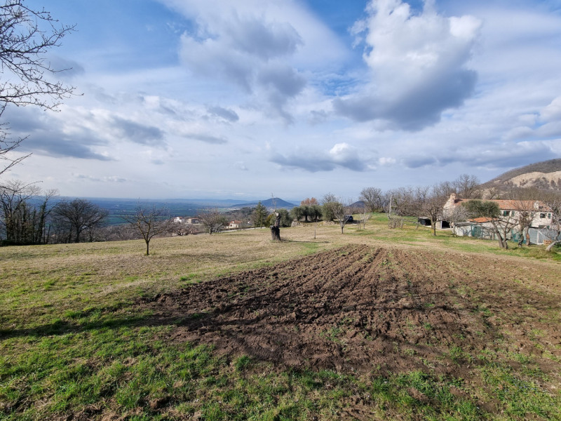 Siamo in Comune di Baone, più precisamente in prossimità dell'abitato di Calaone, Proponiamo in V...