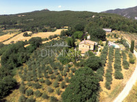 Bellissimo agriturismo con 58 ha di terreno biologico, collina pomarance, pisa