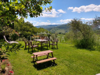 Bellissimo agriturismo con 58 ha di terreno biologico, collina pomarance, pisa